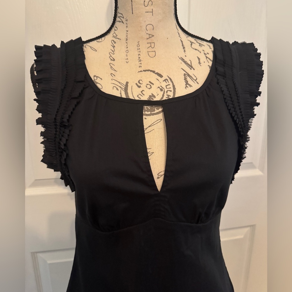 BCBG Ruffle Sleeve Top XS